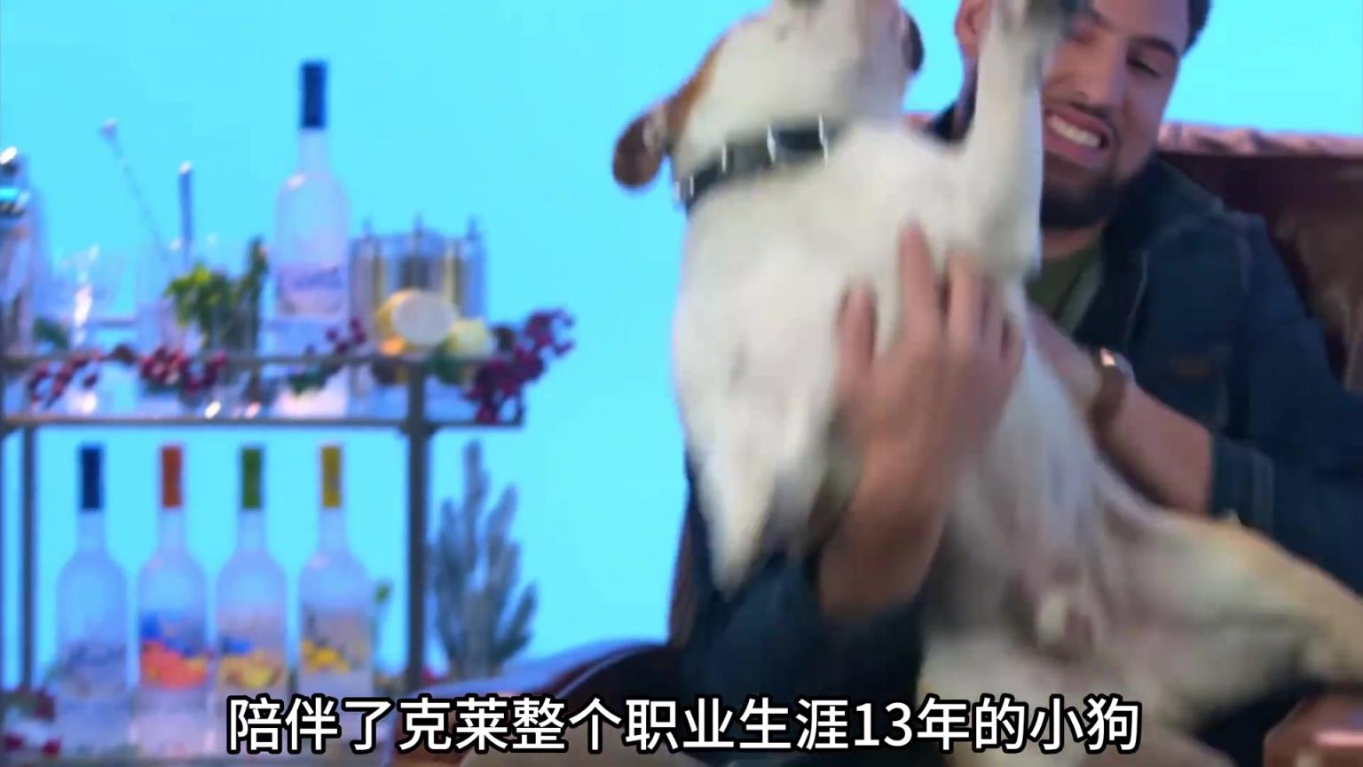 陪伴克萊13年的小狗去世了，不敢相信克萊得多么傷心